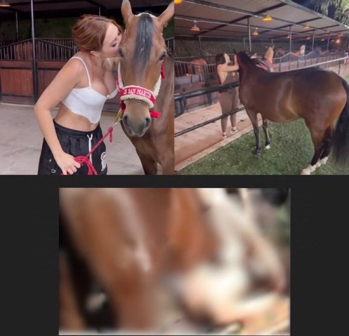 Aida victoria merlano horse video full