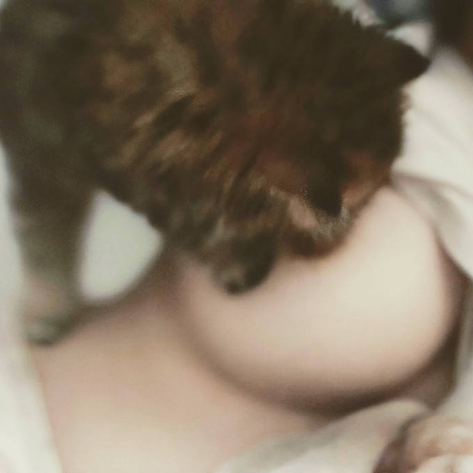 lilli dog video samara leak