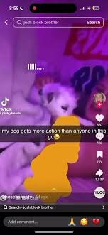 lilli dog video samara leak